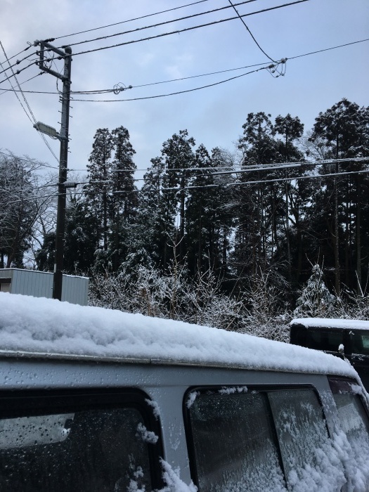 雪_b0120103_07142859.jpeg