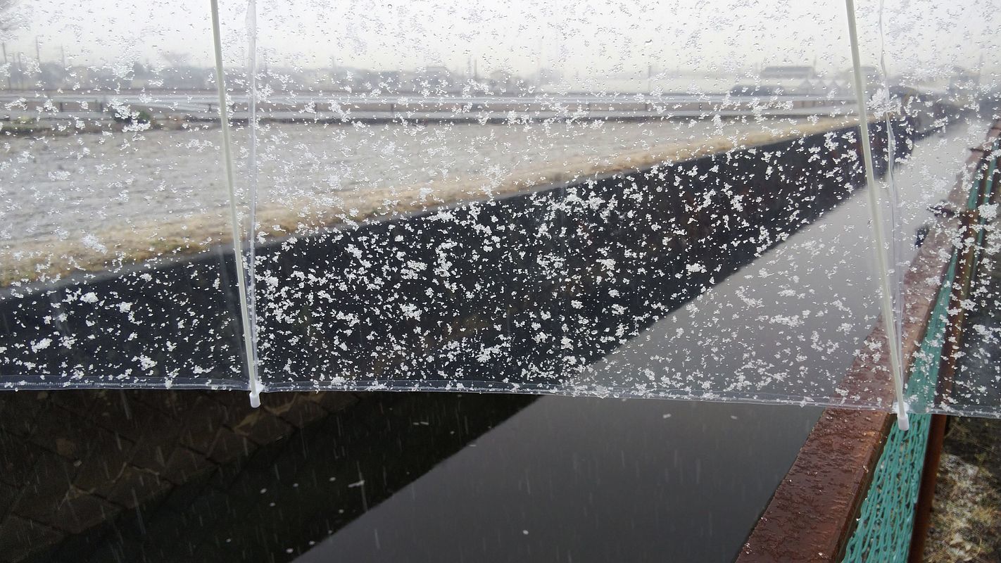 雪はここでは偶にしか降らないのでウレシクなっちゃう♪ 翌朝には濃霧が! これもね~珍しや!なので(^^;_a0031821_12294348.jpg