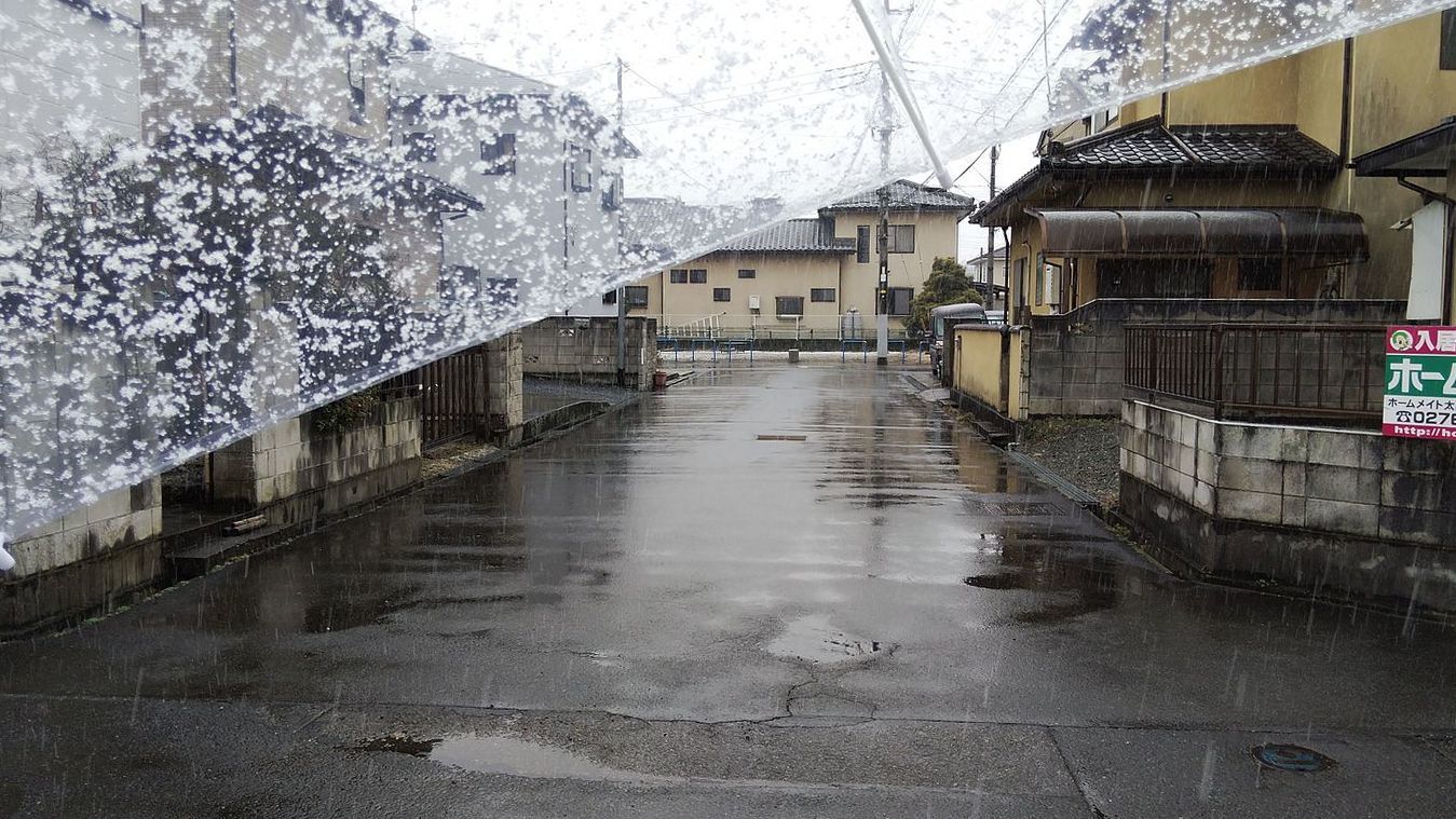 雪はここでは偶にしか降らないのでウレシクなっちゃう♪　翌朝には濃霧が！　これもね～珍しや！なので(^^;_a0031821_12330707.jpg