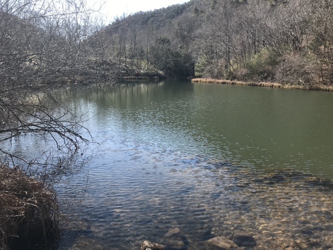 森林浴_d0101846_17302799.jpeg