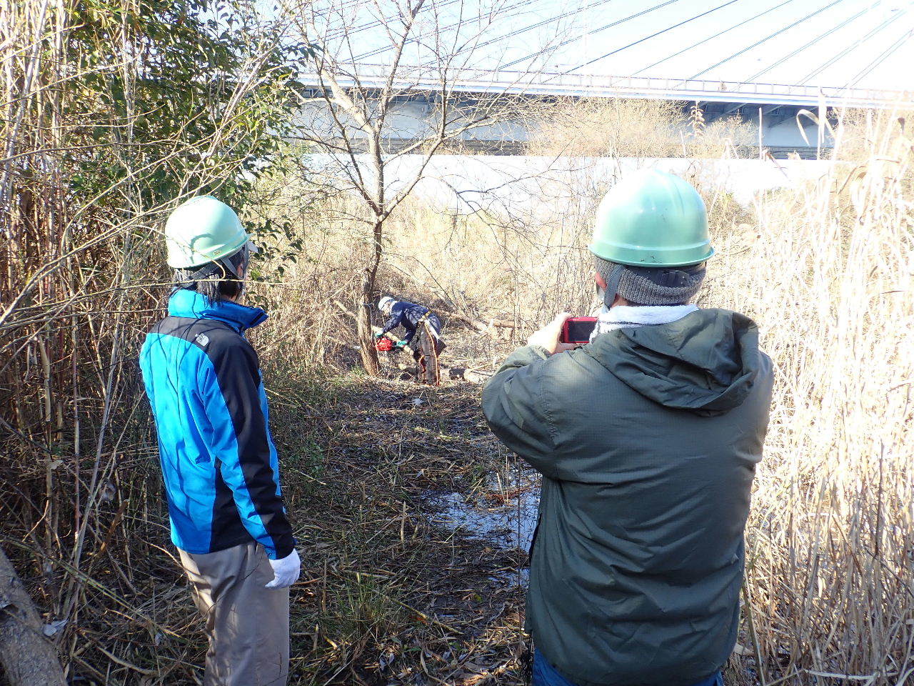 【ご報告】城北34号北ワンド樹木伐採_a0263106_13473690.jpg