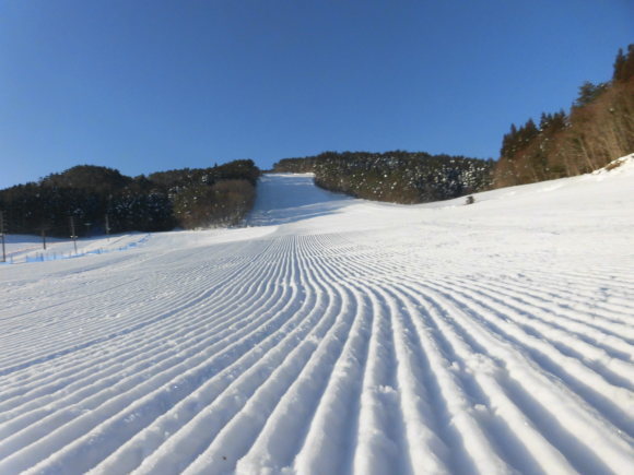 令和4年2月12日（土 ）天気/晴　気温/11℃　風/無　積雪/70㎝　滑走可能_e0306207_08123596.jpg