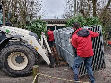 オランダ・ヌエネンの「動物帝国」のヘンク (Henk) がフランスのアムネヴィル動物園へ ~ 繁殖からは「引退」か?_a0151913_05333821.jpg