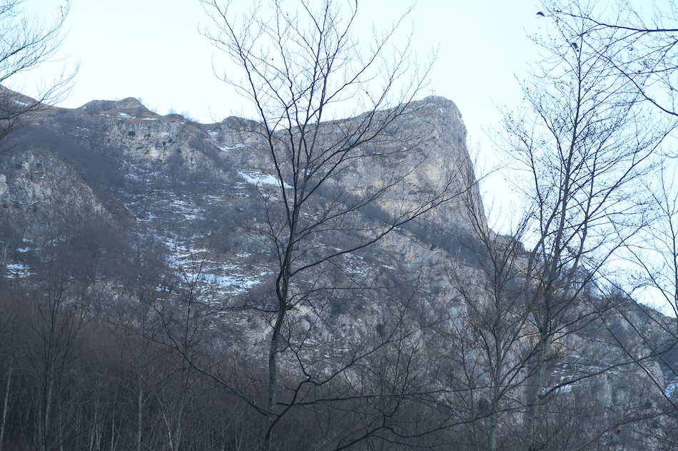 清流わたり登る山にプリムラ・プルモナリア・ヘレボルス_f0234936_23385861.jpg