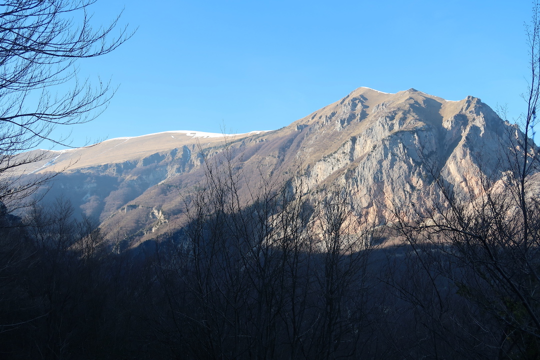 清流わたり登る山にプリムラ・プルモナリア・ヘレボルス_f0234936_23594854.jpg