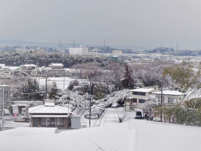  令和4年2月11日の積雪　測候所坂　大坂_b0330744_07383045.jpg