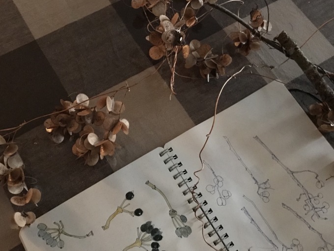 森林浴_d0101846_06511873.jpeg