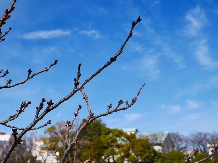 　　和歌山便り　　　２０２２-０２-１４　００：００ 　 _b0093754_23224153.jpg