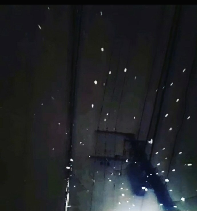 きのう~今日の写真たち。雪と鳩のこと。_d0244370_06384136.jpg