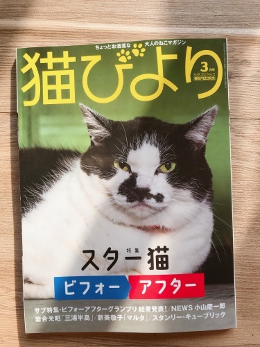「猫びより」最新3月号発売中_f0054677_09085969.jpg