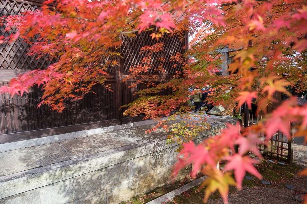 常寂光寺の紅葉2021_b0325840_11120141.jpg