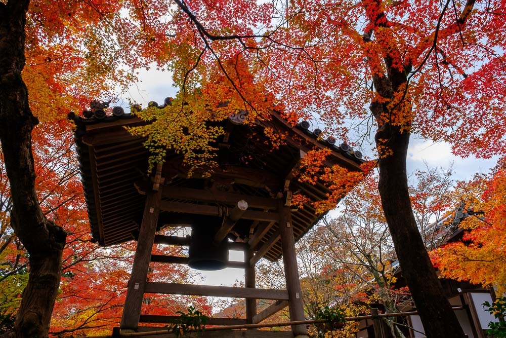 常寂光寺の紅葉2021_b0325840_11121355.jpg