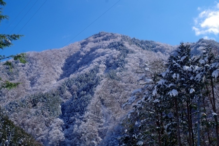 かみゆき=春の重たい雪_f0114346_11551437.jpg