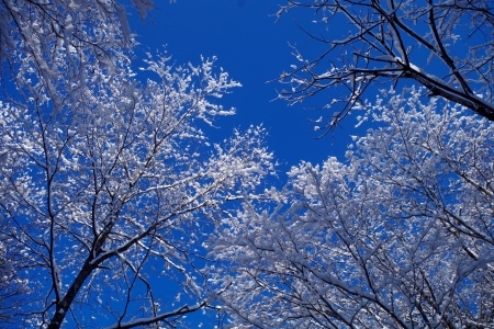 かみゆき=春の重たい雪_f0114346_11553051.jpg