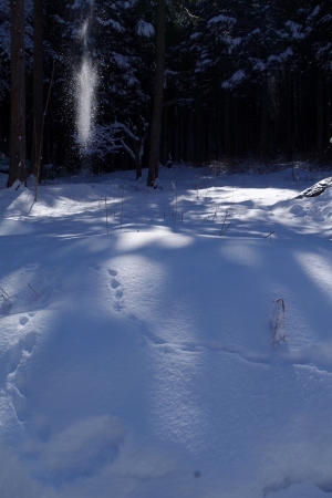 かみゆき=春の重たい雪_f0114346_11560647.jpg