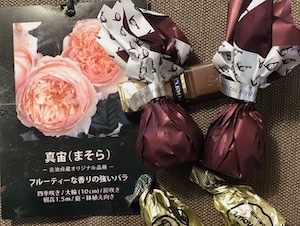 2022年 2月の月作業_a0094959_14091373.jpeg