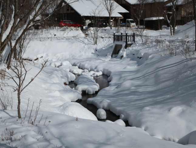 南軽井沢の雪景色 ＊ 今シーズン一番積もった日をふり返り♪_f0236260_16480497.jpg