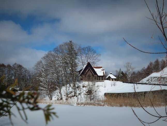 南軽井沢の雪景色 * 今シーズン一番積もった日をふり返り♪_f0236260_16491706.jpg