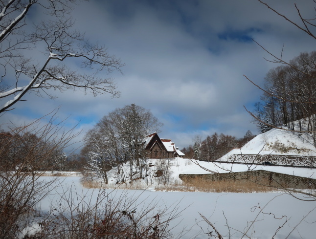 南軽井沢の雪景色 * 今シーズン一番積もった日をふり返り♪_f0236260_16514664.jpg