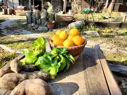 食が豊かな淡路島、最高!_c0280108_15533342.jpg