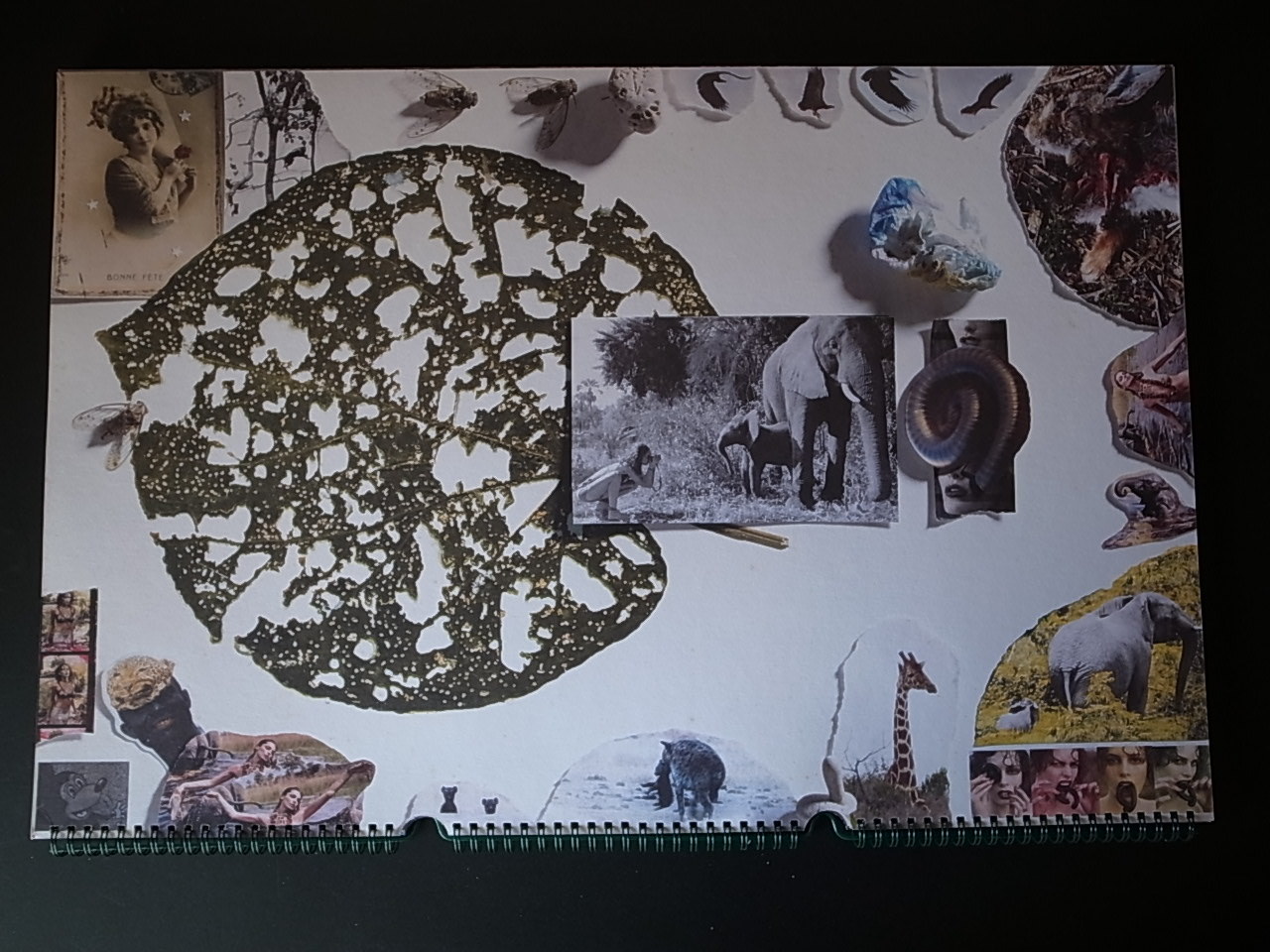 THE END OF THE GAME / Peter Beard : Books & Things THE END OF THE GAME / Peter Beard : Books & Things