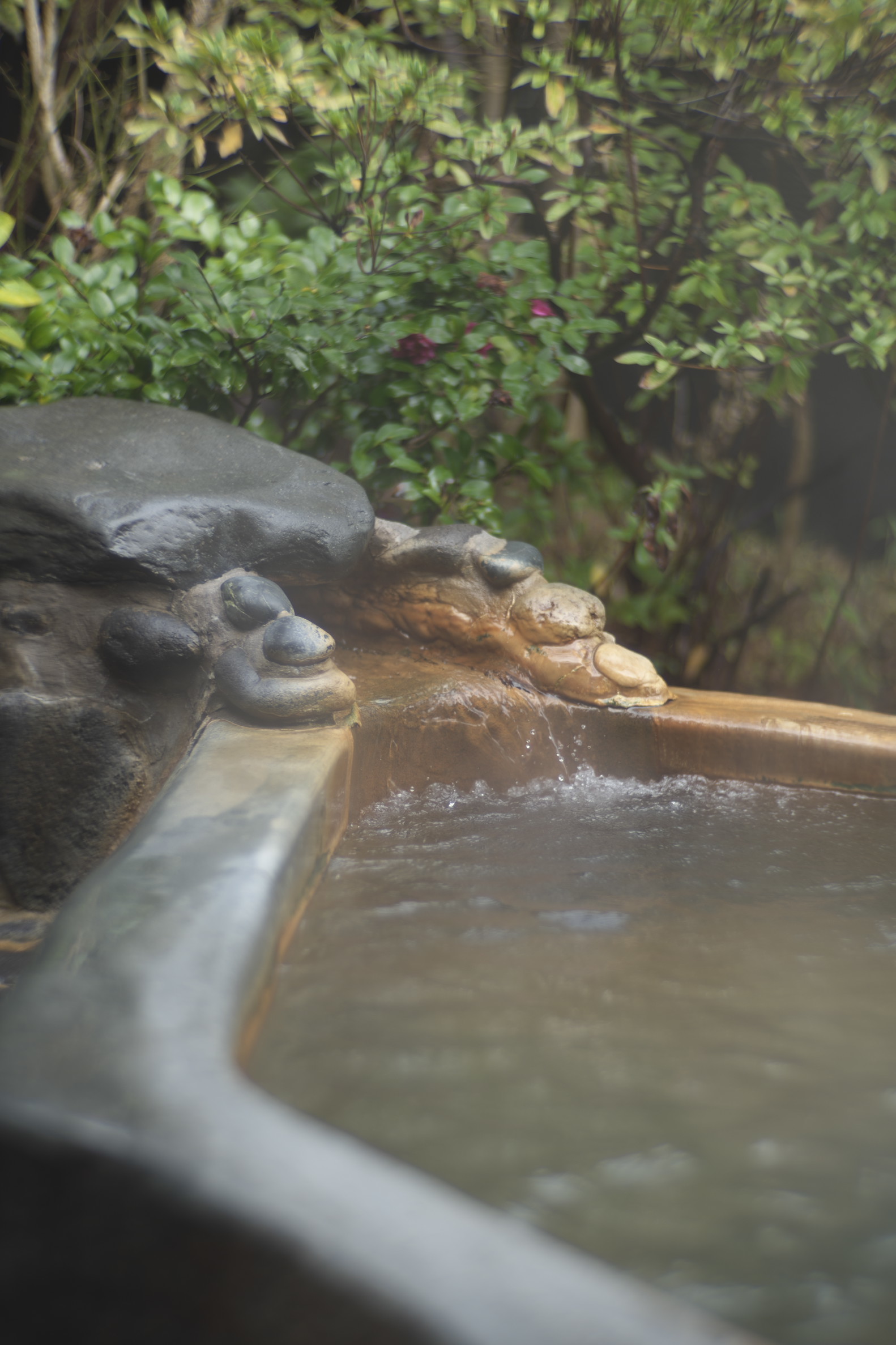 S*r様 160QIOPTIQ XR-Heligon 100mm F1.5 キオ Rodenstock XR-Heligon 100mm f1.5 : アルビレオの雑記帳