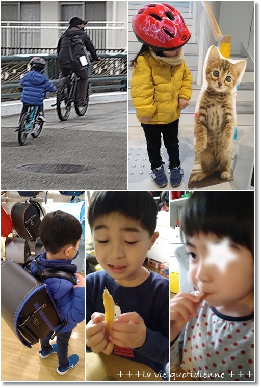 【レシピ】ピンクの苺チョコとドライ苺ピスタチオグリーンのビスコッティとダラダラ休日_a0348473_07022104.jpg