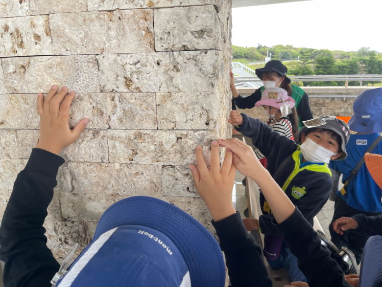 化石発見キャンプ〔３日目〕沖縄本島を巡ること3日間、最終日はついにこのエリア最古の地層へ！そして待望のアンモナイトにもであいました！_d0363878_10265448.jpg