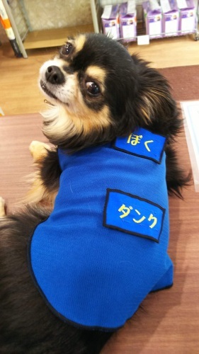 自己紹介_f0357682_17421659.jpg