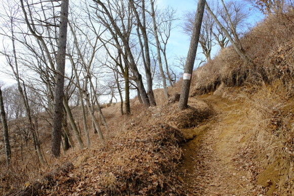 一人登山 陣馬山~高尾山_e0000910_08362298.jpg