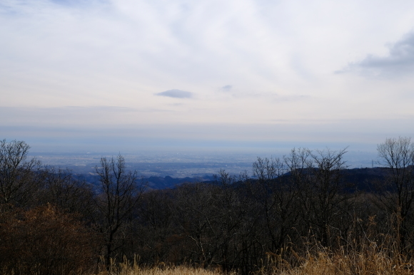 一人登山　陣馬山～高尾山_e0000910_08375600.jpg