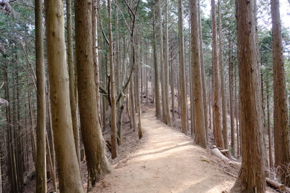 一人登山 陣馬山~高尾山_e0000910_08541252.jpg