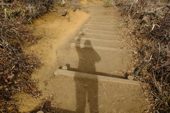 一人登山 陣馬山~高尾山_e0000910_08550885.jpg