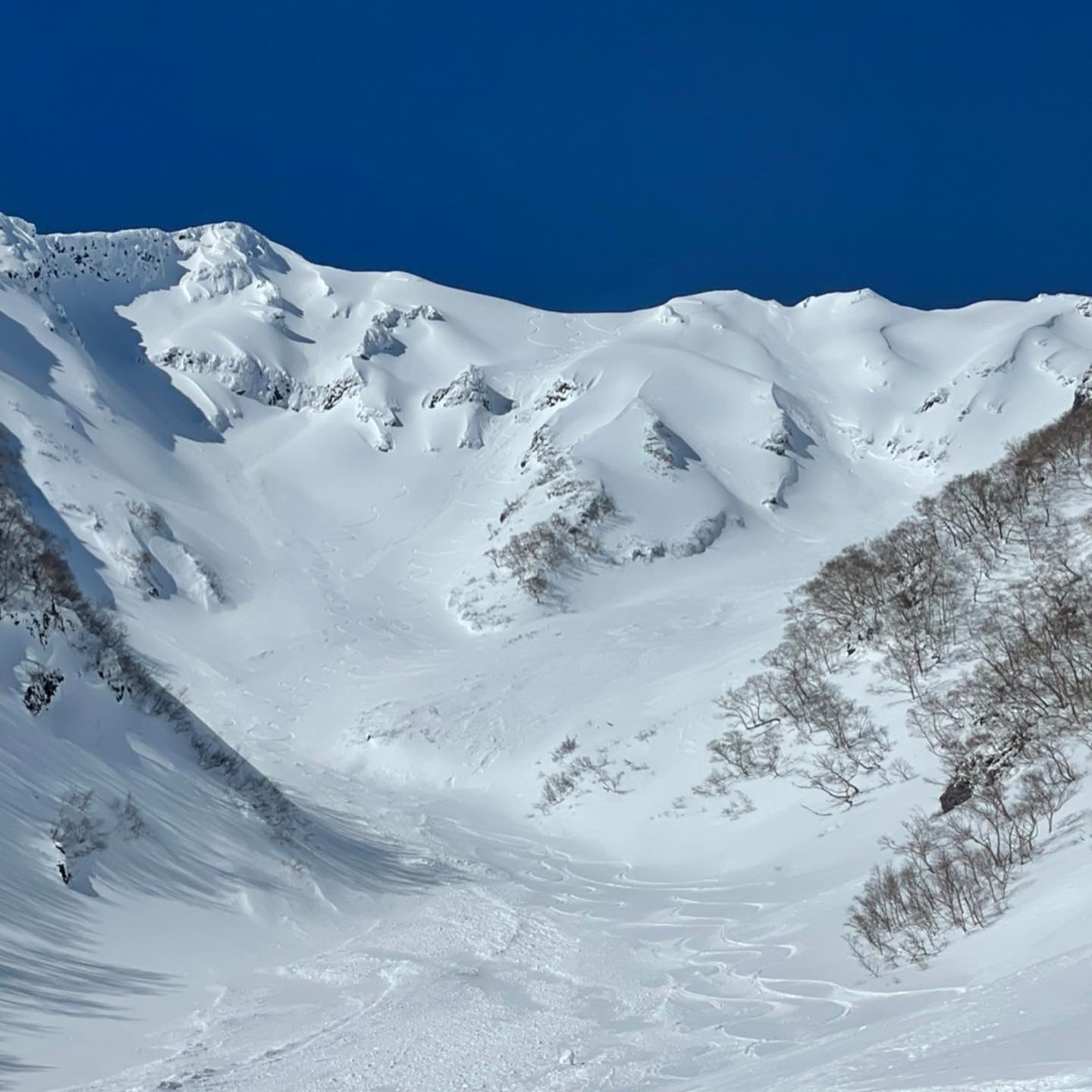 オプタテシケ山～ノースフェイスSUMMITシリーズを着て爆裂沢を滑る～_d0198793_13311722.jpeg