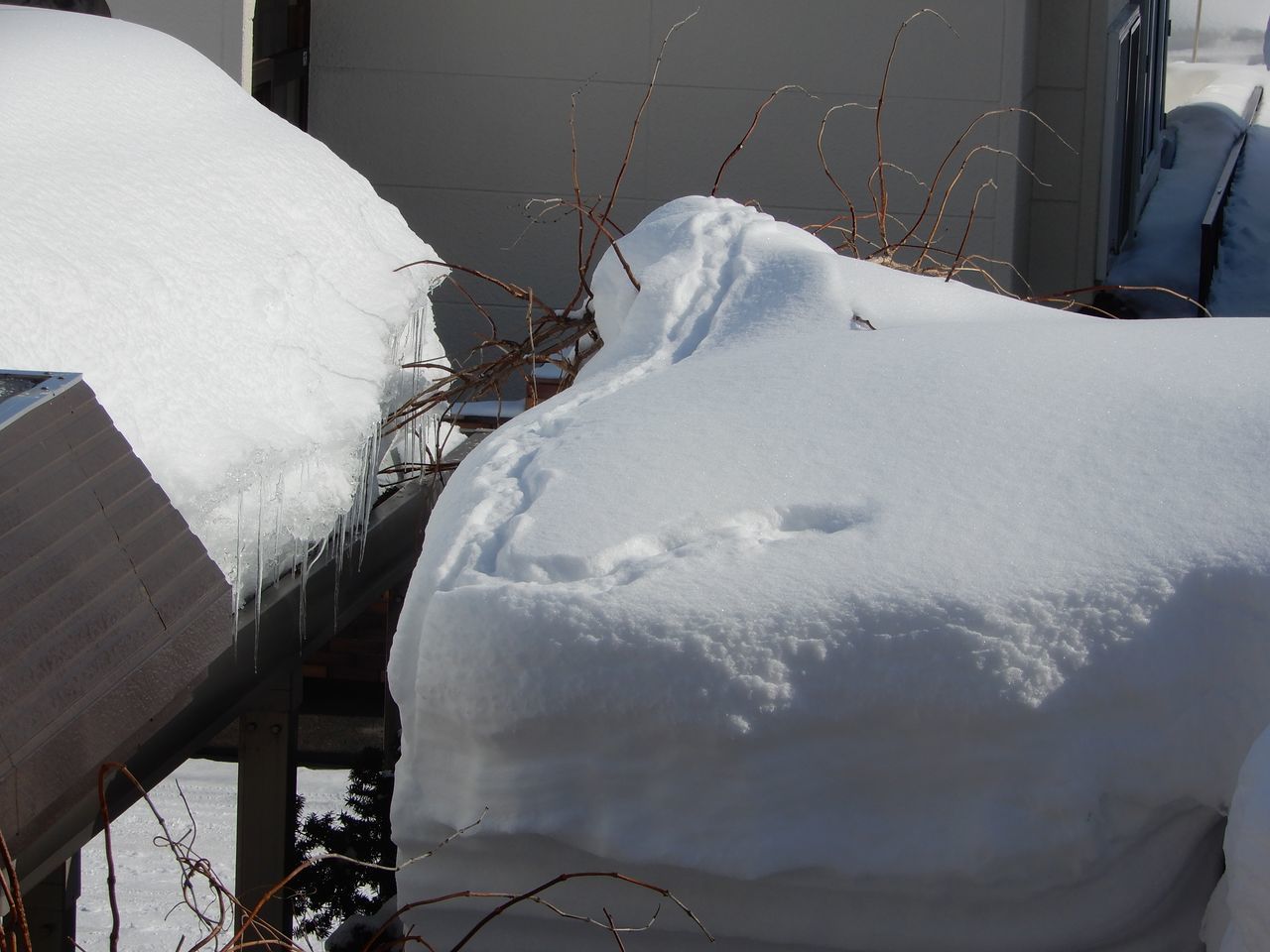 今日は気が付かないうちにプラス2℃になっていた_c0025115_20285902.jpg
