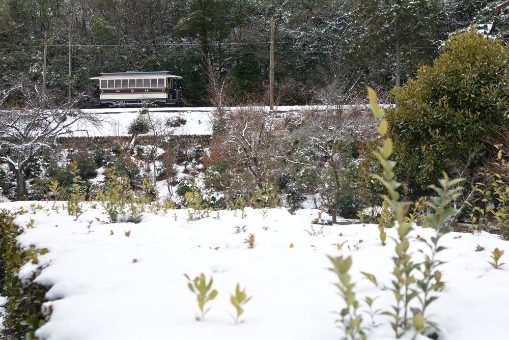 雪でもふきっ晒し 京都市電1_e0373930_19130329.jpg