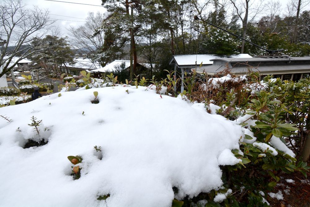雪でもふきっ晒し 京都市電1_e0373930_19132448.jpg
