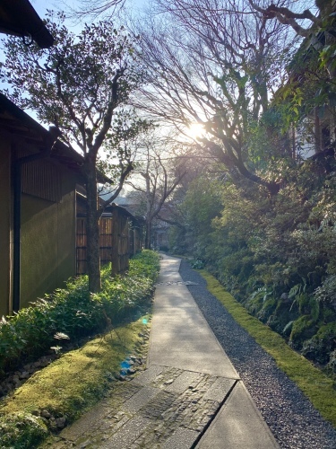 星のや京都・2泊目_b0145846_15423211.jpeg