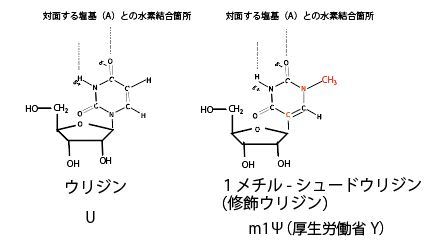 【ADEとは何だ？】尾身クローンはADEの引き金になるか？→俺「イエス高須クリニック。ADEで血栓症になって死ぬ可能性大！」_a0386130_10255708.jpg