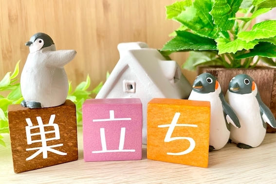 3月 4日 オンエア予定 _d0378149_16243889.jpg