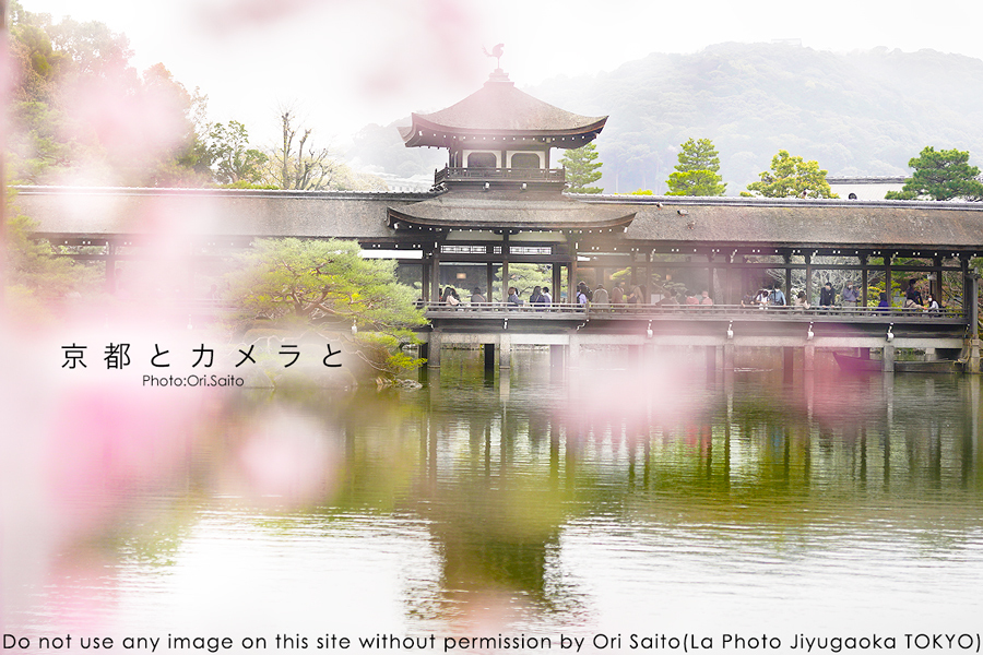 京都とカメラとPhotoShop。春の平安神宮 #京都 @kyotoheianjingu #PhotoShop #SIGMA #カメラ女子 #kyoto #レタッチ_f0212049_01273038.jpg