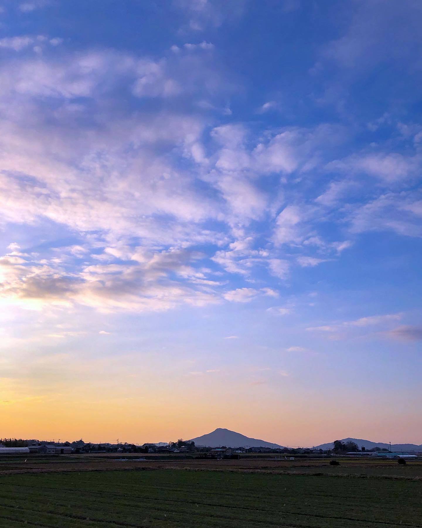 春はもうすぐ。_d0032761_13570566.jpg