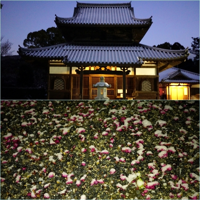 雪景色の四王寺山。_f0016066_17124823.jpg