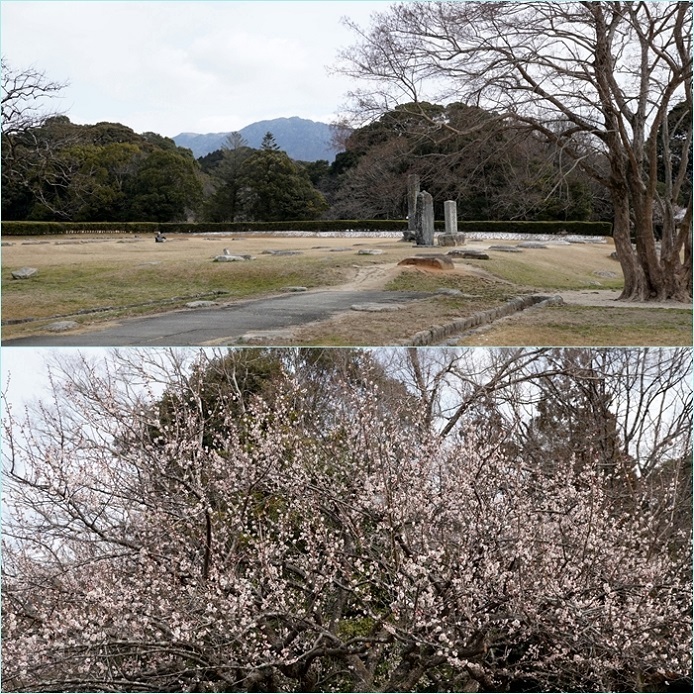 雪景色の四王寺山。_f0016066_17374480.jpg