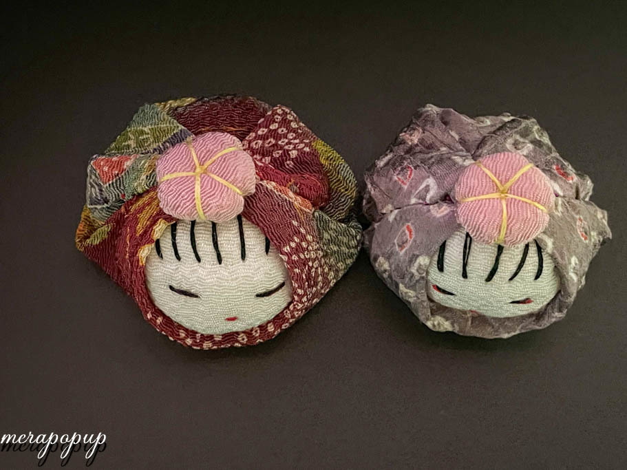 富貴蘭【薩摩富士】 : The blog of meraki