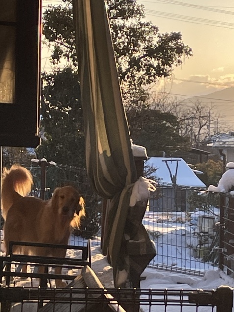雪の朝。_a0394574_20590097.jpeg