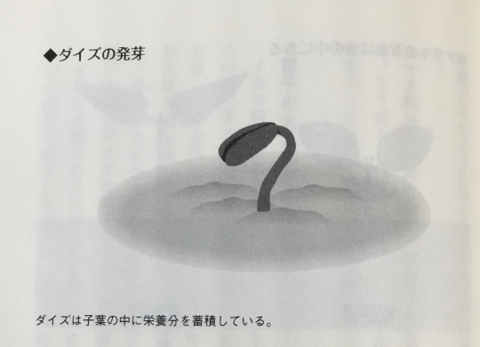 白金泥　1瓦 白金泥1瓦3袋
