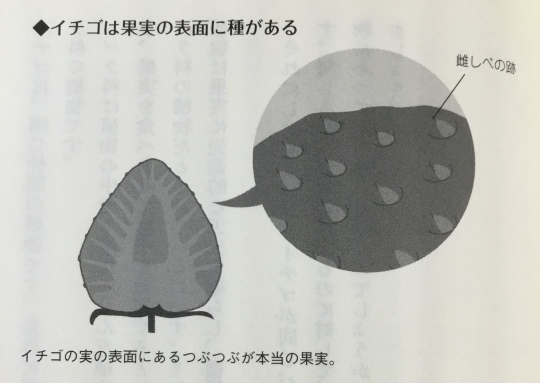 ５７５筆まか勢