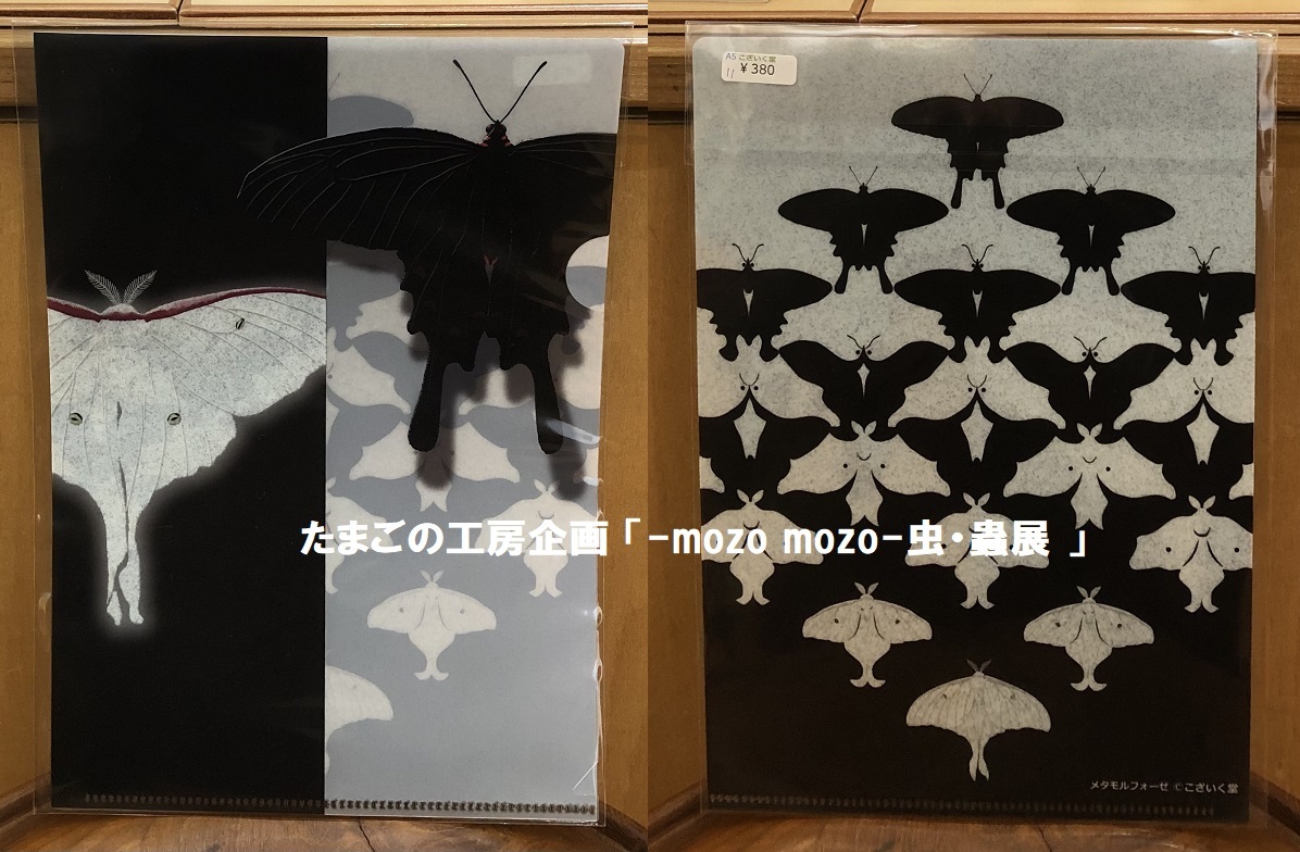 たまごの工房企画「 -mozo mozo- 虫・蟲 展 」その４_e0134502_06073100.jpg