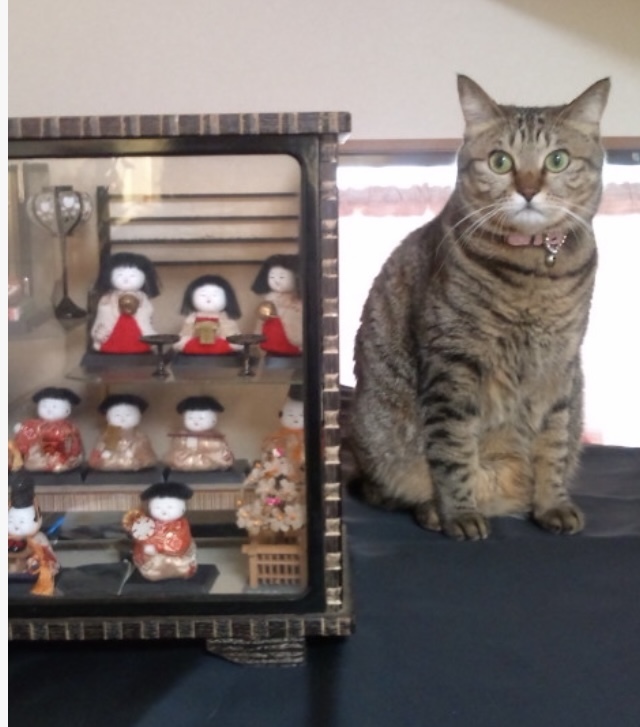 61年前のお雛様 _b0412708_09260751.jpeg